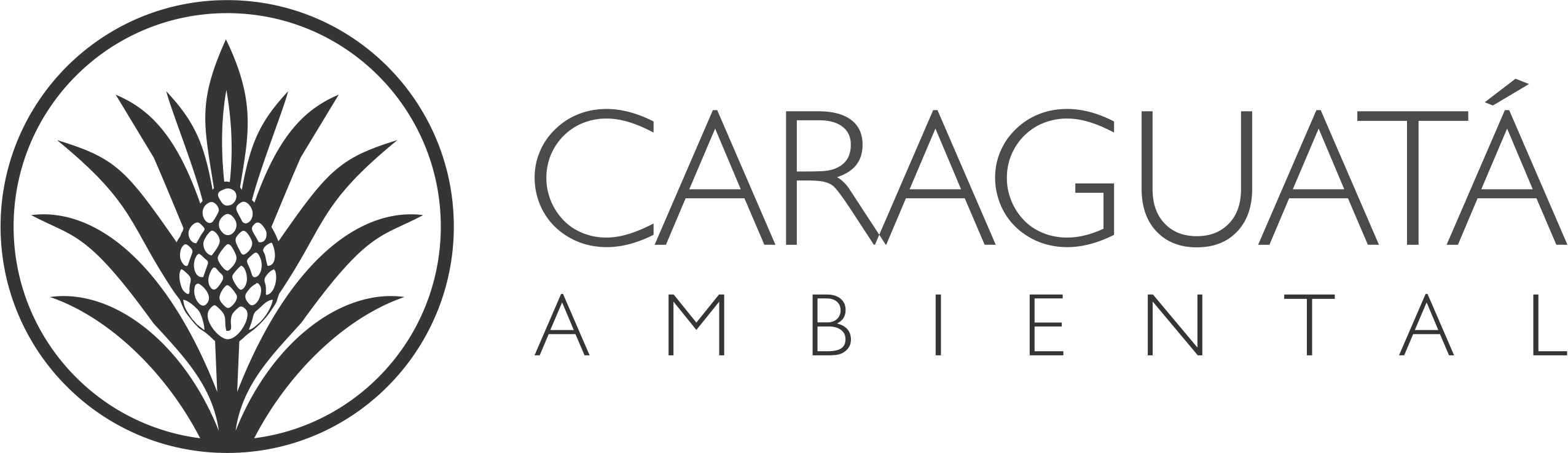 Caraguatá Consultoria e Projetos LTDA – CNPJ: 62.313.430/0001-10